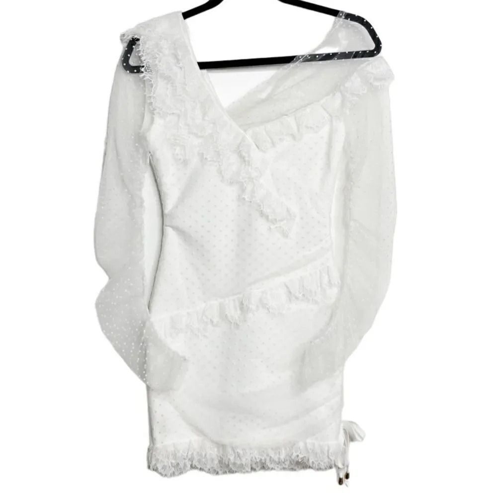 Long Sleeve Lace Trim Polka Dot Sheer Mini Dress White Size XS